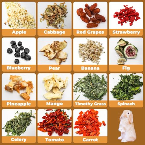 Minrzpet Bunny Treats Treat Box With 15 Kind Of Snacks For Rabbit Hamster Chinchilla Guinea Pig And Other Small Pets Chinchilla Treats Hamster Treat