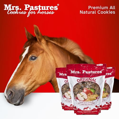 Mrs. Pastures Mrs Pastures Cookies And Treats For Horses - Premium Horse Treats - Made With Apples Oats And Rolled Barley - Preservative - All Natural Ingredients - No Corn Or Soy (15Lb Refill Box)