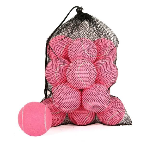 Mrycz Fyrhd 24 Pack Tennis Balls Training Tennis Balls Pet Dog Playing Balls Practice Tennis Balls With Mesh Bag For Transport And Beginner Training