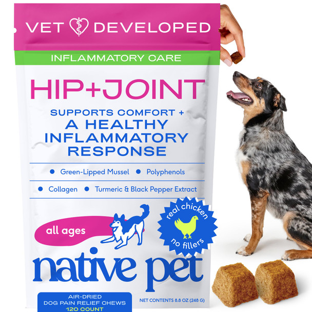 Native Pet Inflammatory Care - Pain Relief For Dogs - Green-Lipped Mussel Turmeric & Collagen For Dogs - Hip And Joint Supplement Supports Healthy Inflammatory Response & Joint Comfort - 30 Chews