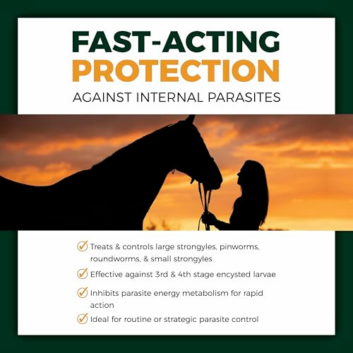 Naturavia Made Horse Oral Paste 10% 25G Pre-Filled Syringe Single Pack Equine Oral Gel With Graduated Dosing For Horse Use Only