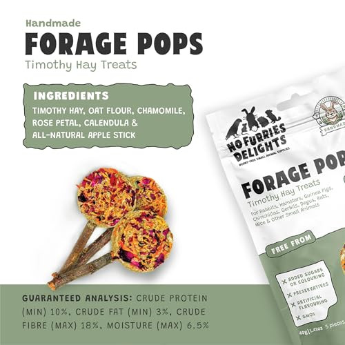No Furries Delights Treats 100% All Natural Forage Pops For Rabbit Hamster Guinea Pig Chinchilla Pet Rat Mice Gerbil Bird Healthy Enrichment Bonding Rewarding Training (Forage Pops 5Pcs)