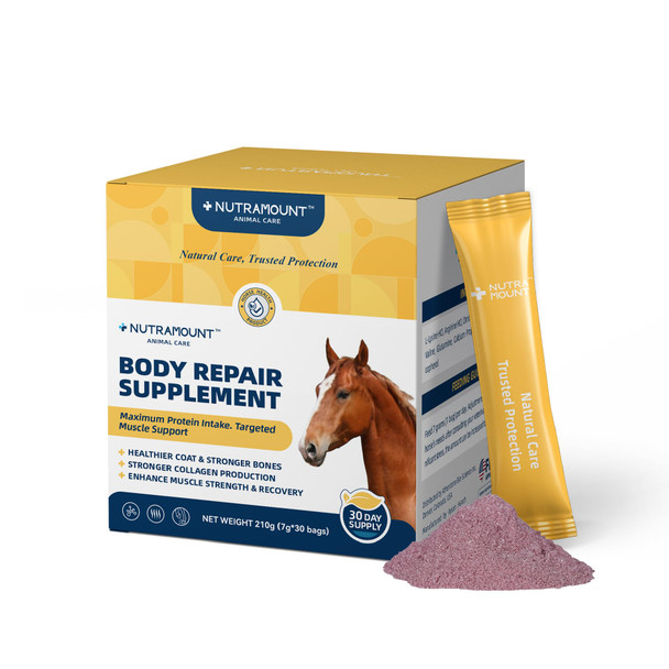 Nutramount Body Repair Supplement For Horses 30-Day Supply Amino Acids For Muscle Recovery Protein Support & Performance