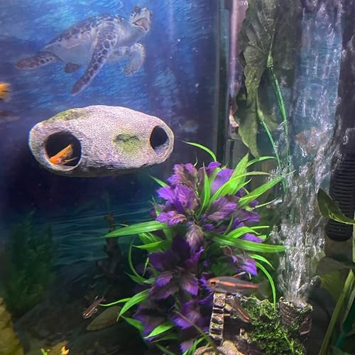 Ornamounts Aquarium Decor Magnetic Rock Cave Ornament Wall-Mounted Fish Tank Accessory