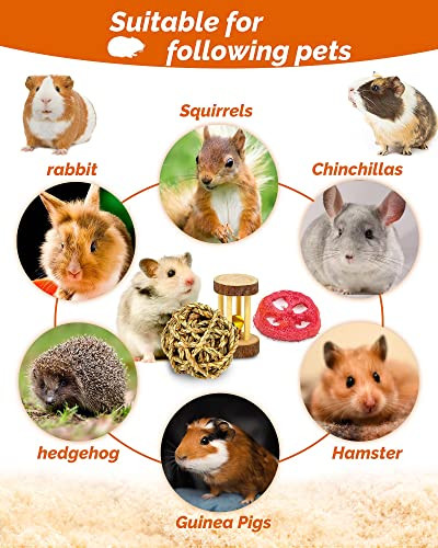 Overtang Hamster & Guinea Pig Toys - 18 Pcs Wooden Small Animal Chew Toys For Teeth - Rabbit Chinchilla Gerbils Rats Exercise Accessories