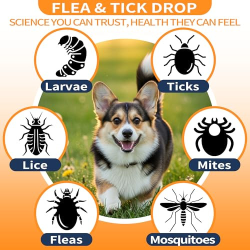Pawbliss Flea And Tick Prevention For Dogs Pets Oral Natural Supplement Drops With Multivitamin Care For All Breeds