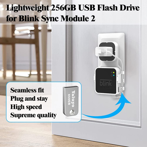 256GB USB Flash Drive and Blink Sync Module 2 Mount, Save Space and Easy Mount Bracket for Blink Outdoor Indoor Security Camera (Blink Sync Module 2 is NOT Included) 256GB USB Flash Drive and Blink Sync Module 2 Mount, Save Space and Easy Mount Bracket for Blink Outdoor Indoor Security Camera (Blink Sync Module 2 is NOT Included)