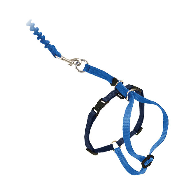 Petsafe Come With Me Kitty Cat Harness & Bungee Leash - Comfortable Cat Harness With Lightweight Bungee Leash For Outdoor Fun - More Secure Walks - Small - Black