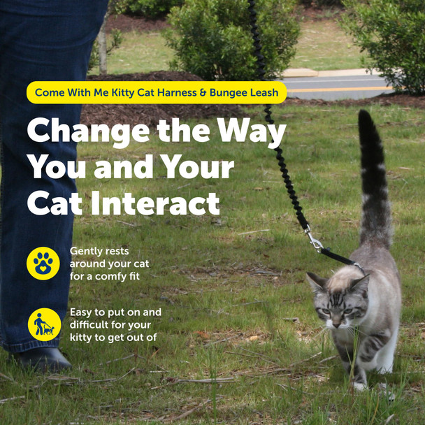 Petsafe Come With Me Kitty Harness And Bungee Leash Medium Red