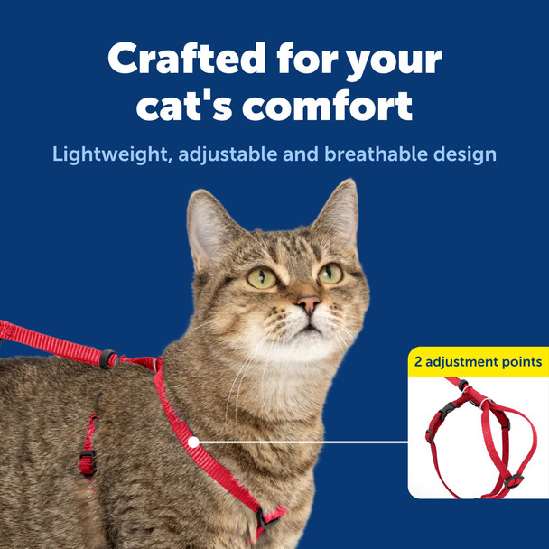 Petsafe Come With Me Kitty Harness And Bungee Leash Medium Red