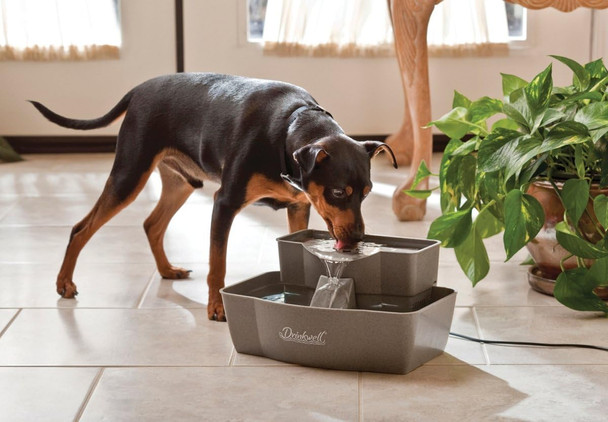 Petsafe Drinkwell Multi-Tier Pet Fountain - Encourages Hydration For Cats & Dogs - Large-Capacity Waterer - Double Tier - Filtered Fountain With Carbon Filter - 100 Oz Water Capacity
