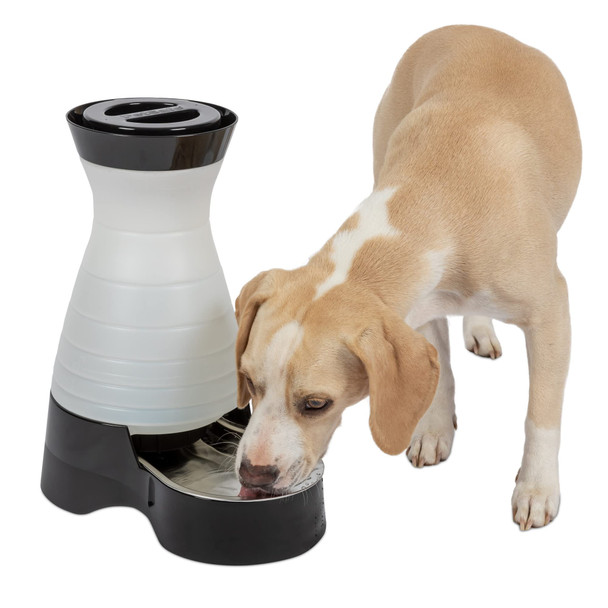 Petsafe Healthy Pet Water Station - Small 64 Oz Capacity - Gravity Pet Water Fountain Automatic Cat Water Fountain Dog Water Fountain Water Dispenser - Removable Stainless Steel Bowl Included