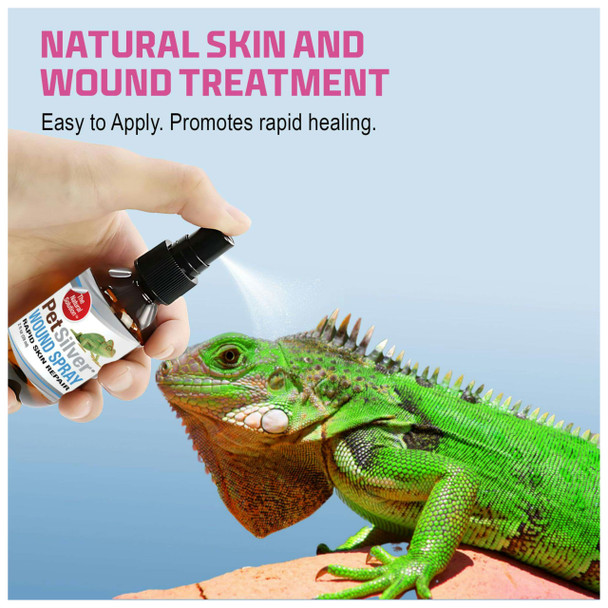 Petsilver Reptile Wound Spray With Chelated Silver Reptile Wound Care For Snakes Lizards Geckos Burns Sores Irritations & Scale Rot Treatment Non-Toxic & Safe Made In Usa 2 Fl Oz
