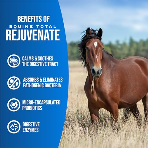 Pivotal Equine Total Rejuvenate Equine Oral Paste (60G Oral Syringe Pack Of 1) Digestive And Immune Support For Horses - Horse Supplements For Digestion- Absorbs And Eliminates Pathogenic Bacteria