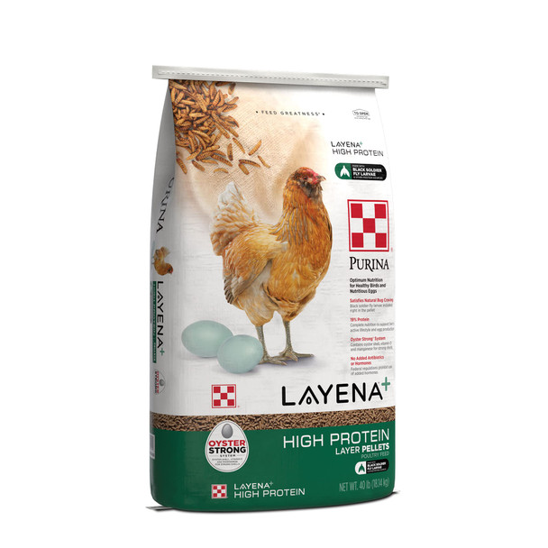 Purina Layena + High Protein Layer Chicken Feed (10 Pound)