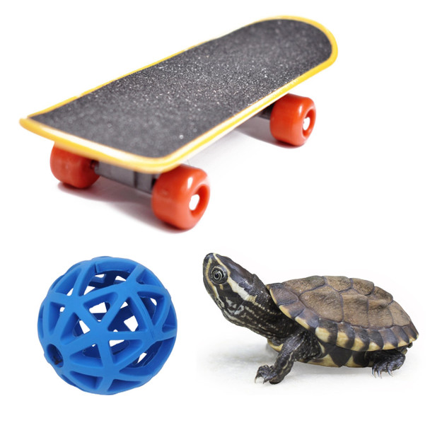 Purrrfectionpet Tortoise Treat Ball And Training Skateboard Toy Set Turtle Feeder Ball And Funny Skateboard Tortoise Toy Feeding Balls Vegetable Grass For Small Animals Pets Tortoises Turtles (Blue)