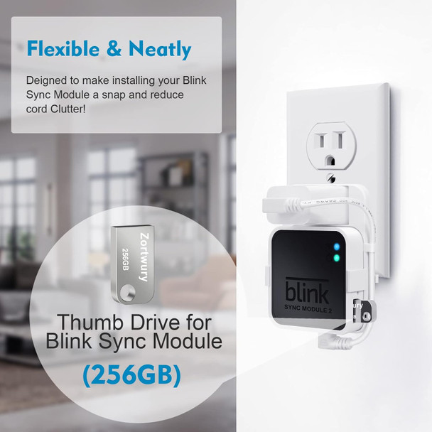 256GB Blink USB Flash Drive for Local Video Storage with The Blink Sync Module 2 Mount,Save Space Easy Move Bracket for for Blink Outdoor Indoor Security Camera(Blink Sync Module 2 is NOT Included) 256GB Blink USB Flash Drive for Local Video Storage with The Blink Sync Module 2 Mount,Save Space Easy Move Bracket for for Blink Outdoor Indoor Security Camera(Blink Sync Module 2 is NOT Included)