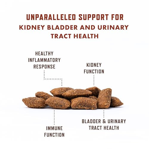 Rocco & Roxie Supply Co. Rocco & Roxie Cat Urinary Tract Health Supplement Cranberry And D-Mannose For Bladder Ut And Kidney Support For Cats Vet-Recommended Chicken-Flavored Crunchy Chews Made In Usa