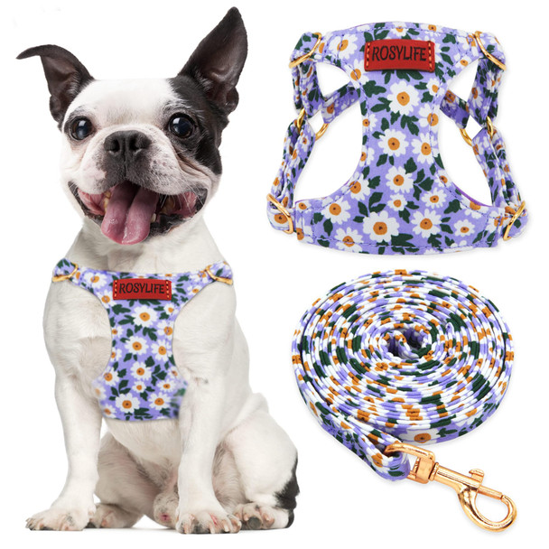 Rosylife No Pull Dog Harness Adjustable Small Harness And Leash Set Lightweight And Soft Dog Harness No Choke Escape Proof Pet Harness Vest (Blue Rose Xs)