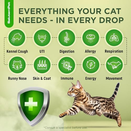 Salutempet Cat Antibiotic For Infections Utis Respiratory Moments Cold & Allergies Antibiotics For Cats Of All Ages & Breeds Liquid Form Natural Supplement With Chicken Flavor 2 Oz