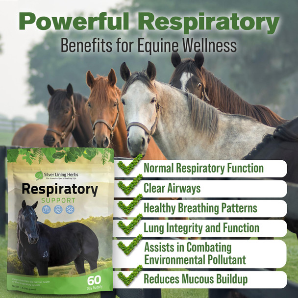Silver Lining Herbs Respiratory Support Supplement For Horses - Horse Supplements For Lung Cleanse & Respiratory Health - Great For Lung Function Breathing & Clear Airways - 1 Lb 60-Day Supply