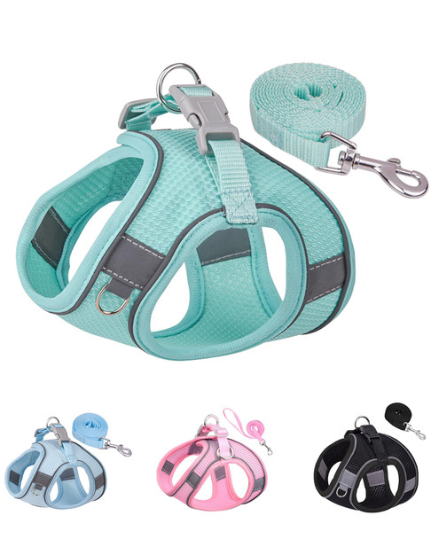Solmoony Dog Harness For Small Medium Large Dogs No Pull Puppy Harness And Leash Set Puppy Harness Step In Harness For Small Dogs Mesh Dog Harness. (Pink Xxs)