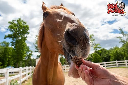 Stud Muffins S1045 Stud Muffins Slims Horse Treats 45 Oz Bag