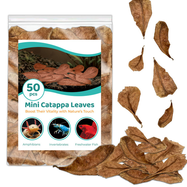 Sungrow 50 Pcs Betta Fin Rot Treatment Catappa Indian Almond Leaves 2" Betta Water Conditioner Leaves For Fish Tank Aquarium Leaf Create Realistic Blackwater River Habitat Reduce Stress & Lower Ph