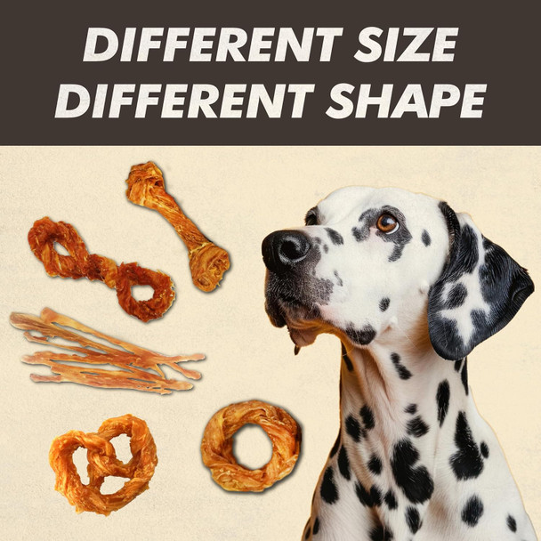 Afreschi Turkey Tendon for Dogs, Dog Treats for Signature Series, All Natural Human Grade Puppy Chew, Ingredient Sourced from USA, Hypoallergenic, Rawhide Alternative, 1 Unit/Pack Strip (Large)