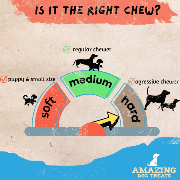 Amazing Dog Treats - Stuffed Shin Bone for Dogs (Bacon and Cheese, 2-3 Inch - 4 Count) - All Natural Dog Bones…