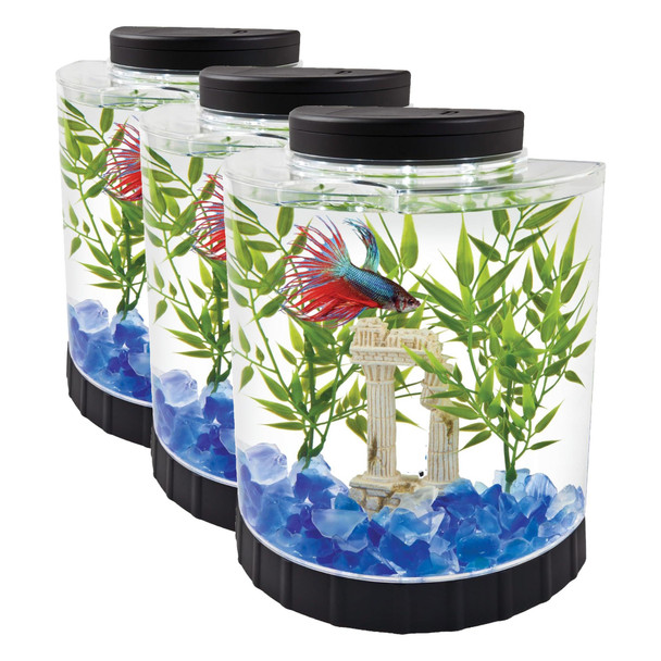 Tetra 1 Gallon Half Moon Small Fish Tank W/ Movable Led Light For Betta & Gold Fish Aquarium