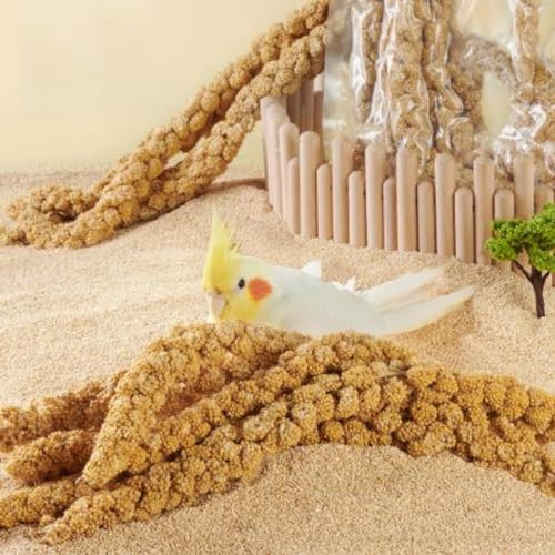 Toyuto 1.1Lb Vacuum Sealed Spray Millet Treat For Birds Parakeets Natural Sun-Dried Birds Millet For Cockatiel Budgie Finches Parrots Hamster(500 Gram)