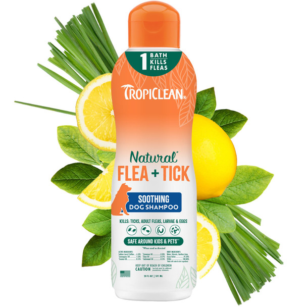 Tropiclean Max Strength Flea And Tick Shampoo Treatment For Dogs Powerful & Natural Defense Prevention For Large & Small Dogs Made In Usa 1Gal