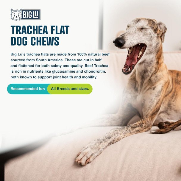 Big Lu - Trachea Flat Dog Chews, Premium 100% Beef, All-Natural Dog Treats, Rich in Glucosamine and Chondroitin for Joint Health, 6-Inch Sticks (15 Sticks)