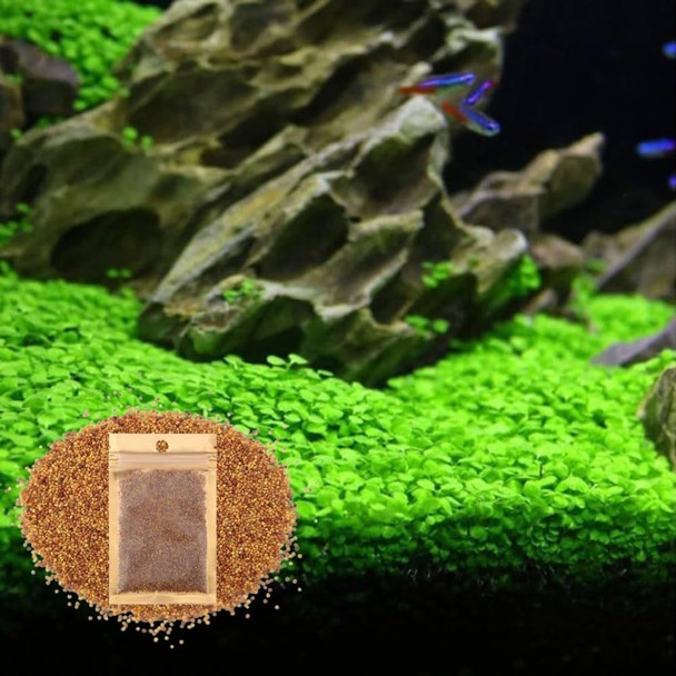 Uniqus Freshwater Aquarium Decor Easy Growing Dwarf Carpet For Fish Tank/Terrarium Natural Aquatic Plant Growth Material 1 Pack (Lucky Grass)