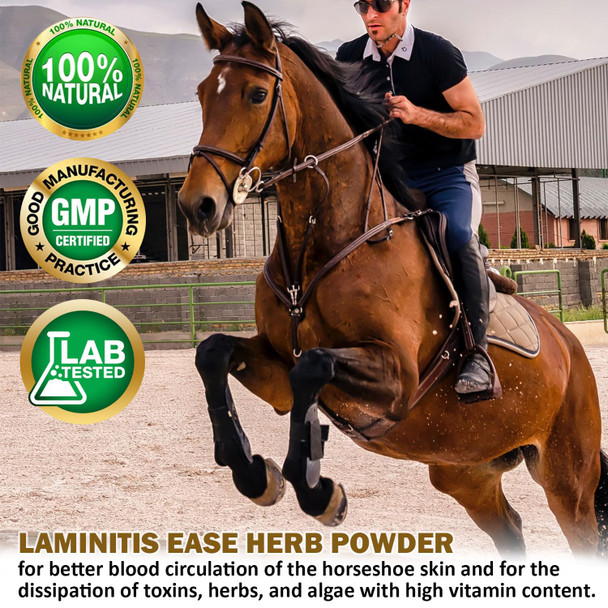 V-Point - Laminitis Ease - Hoof Supplements For Horses - Horse Hoof Care Product Based On Natural Herbal Powder - Ideal For Hooves Health And Conditioning (1.0 Lb)
