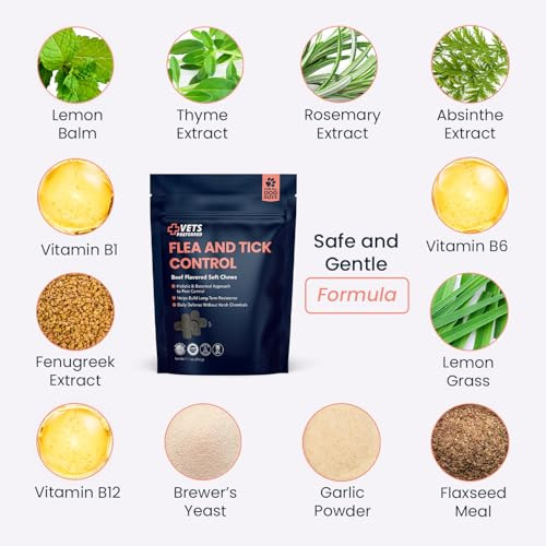 Vets Preferred Flea And Tick Prevention For Dogs Chewable - Daily Defense Without Harsh Chemicals - Immune Support & Antioxidant Protection - Beef Flavored - 90 Soft Chews