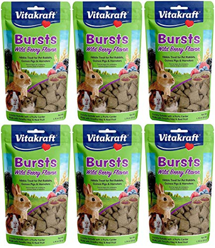 Vitakraft 6 Pack Of Bursts Treats 1.76 Ounces Each Wild Berry Flavor For Pet Rabbits Guinea Pigs And Hamsters