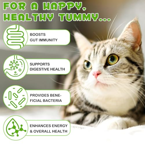 Vosifsdiy Liquid Cat Probiotic Natural 3 In 1 Probiotic For Cats Cat Digestive SupportGut Health SupportHelp With DiarrheaGas And Bloating Cat Herbal Supplements- 60Ml