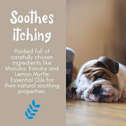 Washbar Natural Horse Shampoo Bar For Horses And Large Dogs Whitens Brightens All Colored Coats Long-Lasting And Easier To Use Than Liquid Pet Shampoo With No Plastic Waste 6.5Oz