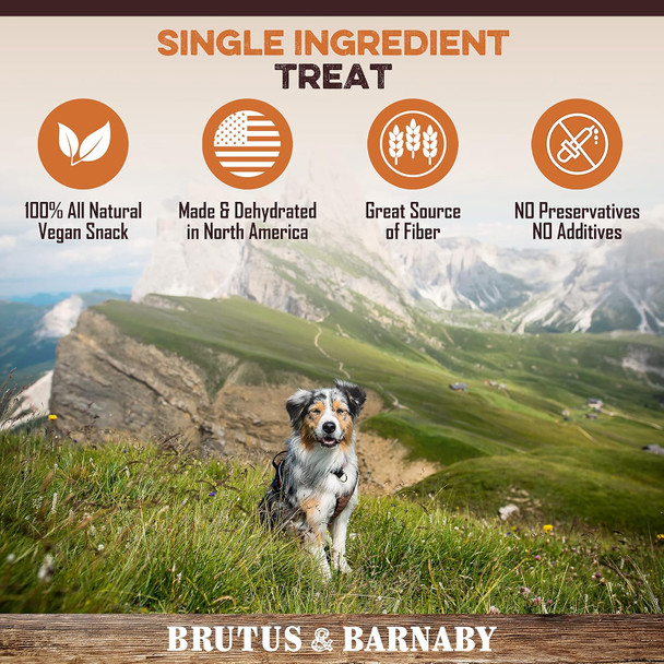 Sweet Potato Slices For Dogs - Single Ingredient Grain Dog Treats, Best High Anti-Oxidant Healthy 100% Natural Thick Cut Dried Sweet Potato Dog Treats With No Added Preservatives (14oz)