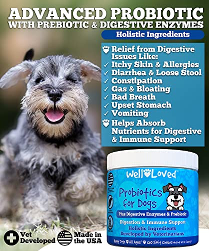 Well Loved Probiotics For Dogs Dog Probiotics Made In Usa Vet Developed For Gut Health Yeast Balance Itchy Skin Diarrhea & Gas Relief Chews With Prebiotic & Digestive Enzymes Digestive Support