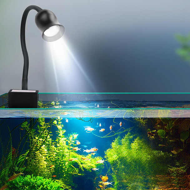 Wonming Aquarium Focus Light For Open Fish Tank Indoor Led Light Big Clip Lamp Adjustable Focus (White-Blue With Timer)