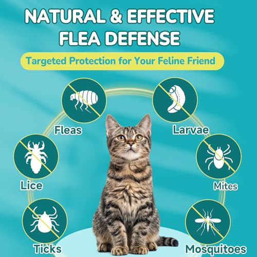 Woyamay 4-In-1 Flea And Tick Prevention For Cats 500 Crunchy & Creamy Chews Cat Flea Treatment Natural Oral Flea Treatment For Cats Daily Support For Flea Immune Skin & Coat Gut Chicken Flavor