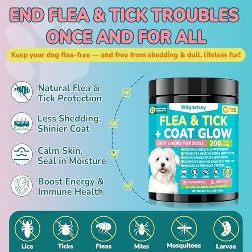 Woyamay Flea + Coat Glow Soft Chews Natural Flea And Tick Prevention For Dogs Dog Flea And Tick Treatment Chewable Reduces Itch & Shedding With Fish Oil & Neem Chicken Flavor