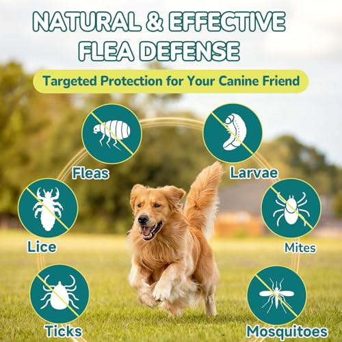 Woyamay 4-In-1 Flea And Tick Prevention For Dogs 500 Crunchy Dog Flea Chews Dog Flea Treatment Natural Oral Flea Treatment For Dogs Daily Support For Flea Skin & Coat Gut Immune Chicken Flavor