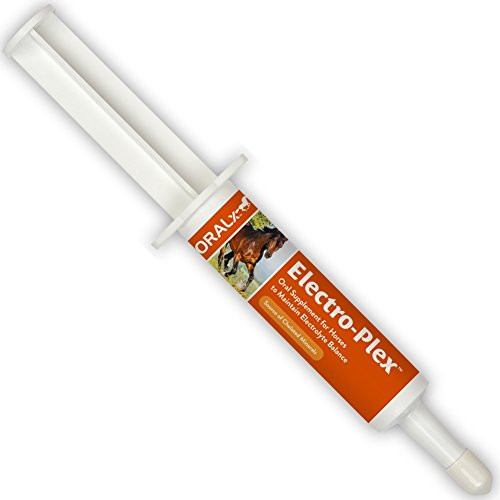 Yeegfeyuu Daoneg Electro-Plex Electrolyte Paste For Horses. Replenishes Electrolytes & Nutrients. Encourages Water Consumption. Easy-Dose Syringe. 1.2 Oz.