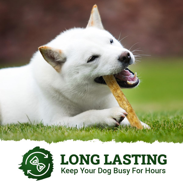 CHEWSAFE Premium Rolls Dog Chew Treats Chicken Flavor Highly Digestible for Small Dogs, Pet Chew Treats Satisfy Natural Desire to Chew, Promote Healthy Teeth - Alternative to Rawhide, 2ct 10” Rolls