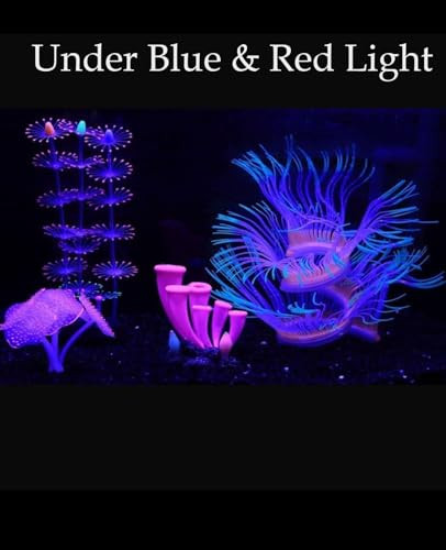 Ztohpyo 4 Pieces Aquarium Fish Tank Decorations With Glowing Effect Silicone Glow Artificial Ornament Coral Reef Plants For Aquarium Decoration Small And Large Fish Bowl Decor Accessories