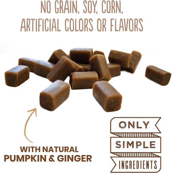 Cloud Star Dynamo Dog Tummy Treats – Soft & Chewy Probiotics Support for Dogs (14 oz. Pumpkin and Ginger) (20212) Cloud Star Dynamo Dog Tummy Treats – Soft & Chewy Probiotics Support for Dogs (14 oz. Pumpkin and Ginger) (20212)